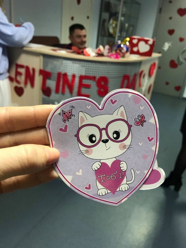 86211959 2551999864929686 5392179857847222272 o